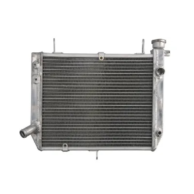 RADIATOR YAMAHA YZF R1 1000 2000 2001