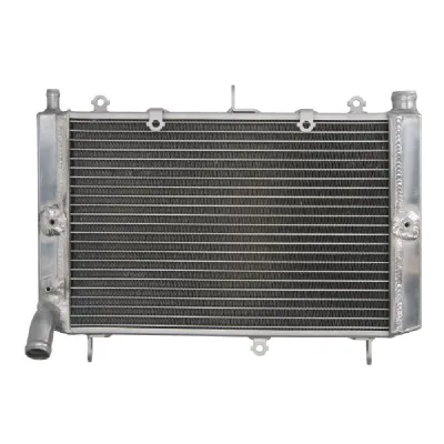 RADIATOR YAMAHA FZS 1000 2001 2005