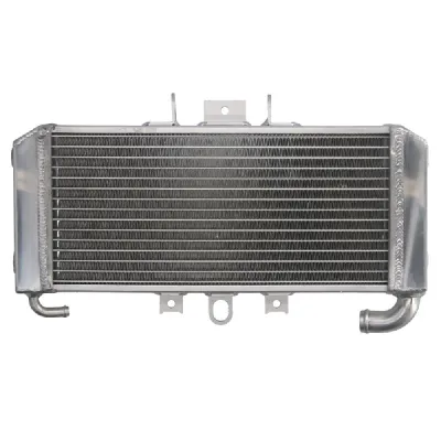 RADIATOR YAMAHA FZS 600 1998 2004