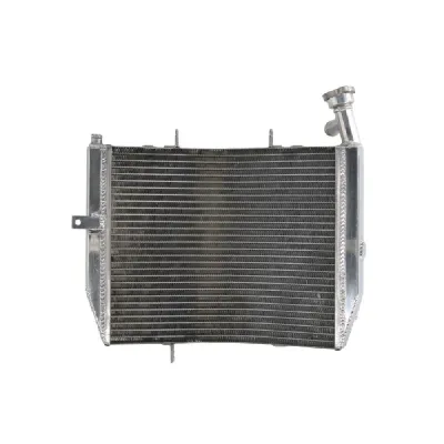 RADIATOR TRIUMPH DAYTONA 675 2006-2012