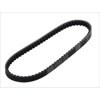 CUREA TRANSMISIE VARIATOR DAYCO