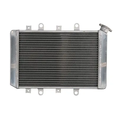 Radiator Racire ATV YAMAHA YFM 700 Grizzly 2007-2008 APA