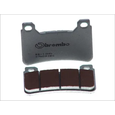 Placute Frana Fata Sinter Carbon Brembo 07HO50SC