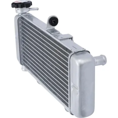 Radiator Honda CBR 250R CBR250R 2011-2022 ABS CB300F CBR300R