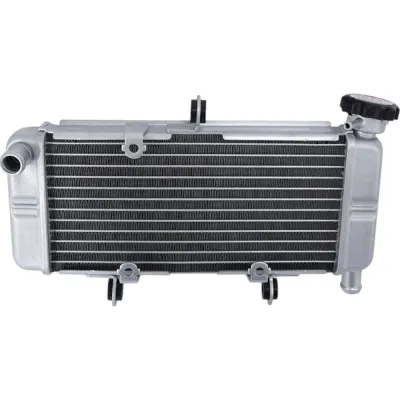 Radiator Honda CBR 250R CBR250R 2011-2022 ABS CB300F CBR300R