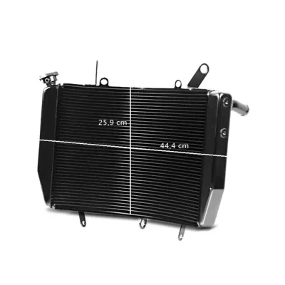 Radiator Moto Yamaha YZF-R6 2008-2016