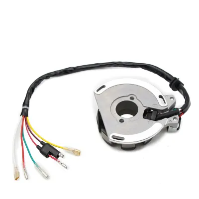 Stator Aprindere Alternator KTM 125 200 250 300 380 Gas Gas