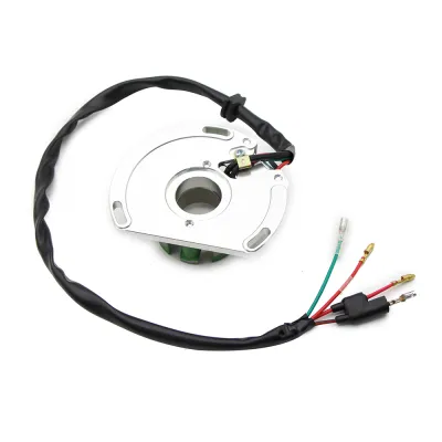 Stator Alternator KTM 200 250 300 380 4FIRE Bobina Aprindere