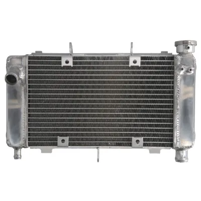 RADIATOR YAMAHA FZ6 600 2004 2006