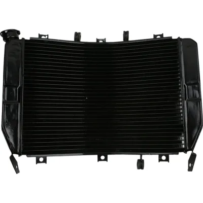Radiator Kawasaki Ninja ZX6R ZX636 2003-2004