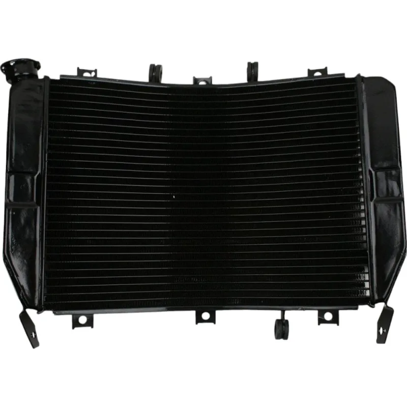 Radiator Kawasaki Ninja ZX6R ZX636 2003-2004
