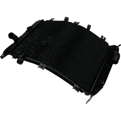 Radiator Kawasaki Ninja ZX6R ZX636 2003-2004