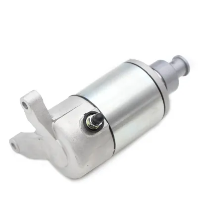 Electromotor Suzuki SV650 SFV650 VZ800 DL650 Cagiva Raptor
