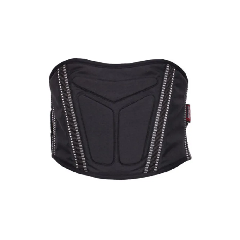 Protectie Rinichi Moto Adrenaline GTX 2 Marime XL