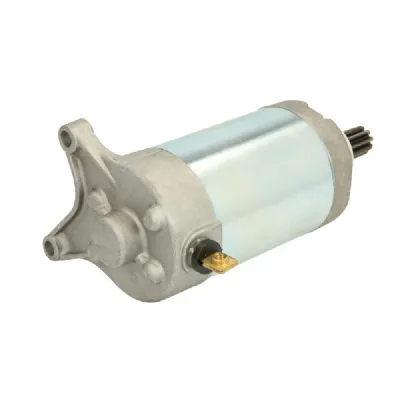 ELECTROMOTOR YAMAHA XV 250 1989-2008