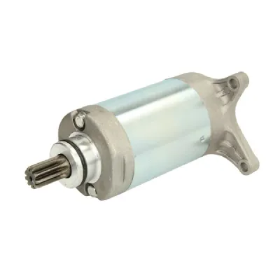 ELECTROMOTOR YAMAHA XV 250 1989-2008