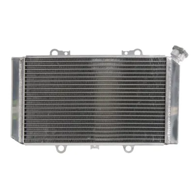 Radiator Yamaha YFM 660 Grizzly an 2002-2008