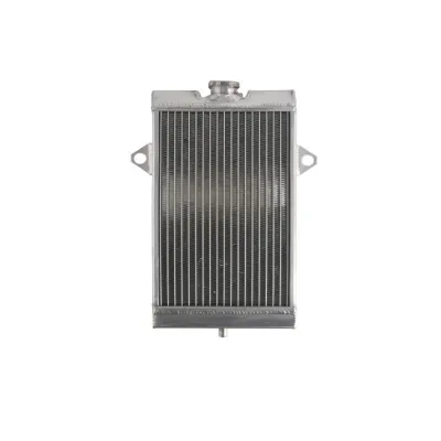 Radiator Racire Apa YAMAHA YFM 700 RAPTOR 2006-2012 Atv Quad
