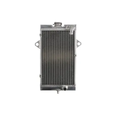 Radiator Racire Apa YAMAHA YFM 700 RAPTOR 2006-2012 Atv Quad