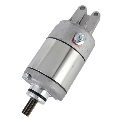 Electromotor KTM LC4 400 620 625 640 660 Rallye Duke A2191