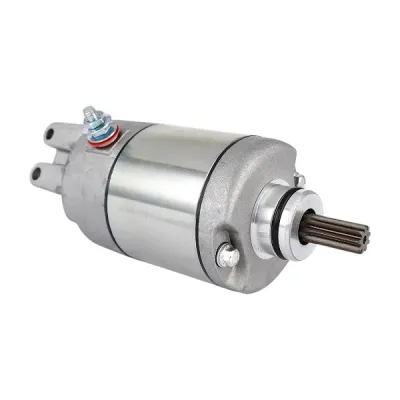 Electromotor KTM LC4 400 620 625 640 660 Rallye Duke A2191